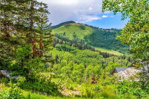 View of mountain feature