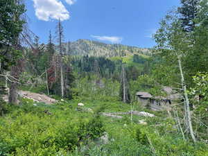 Photo 1 of 12176 E BIG COTTONWOOD CANYON RD