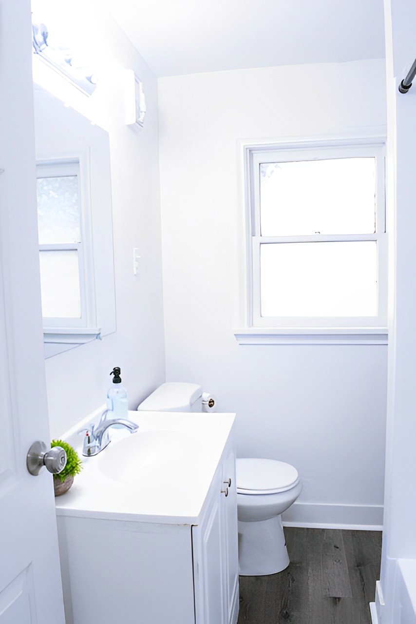 Bathroom featuring dark hardwood floors, mirror, and vanity