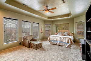 Bedroom featuring ceiling fan, a textured ceiling, multiple windows, a tray ceiling, and light carpet