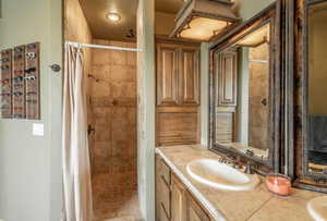 Bathroom featuring vanity, a shower with curtain, and mirror