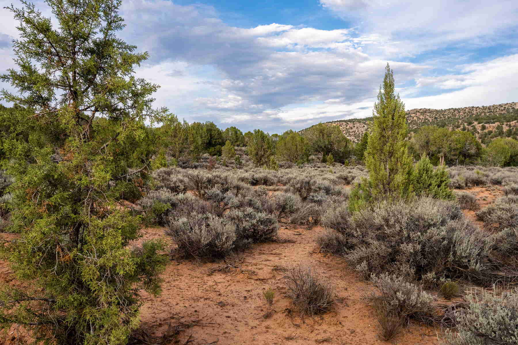 Utah Real Estate — Utah Homes For Sale Mountain Luxury