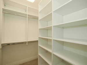 Walk in closet with light carpet