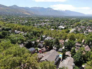 View of bird's eye view