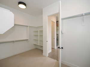 Wardrobe with light carpet