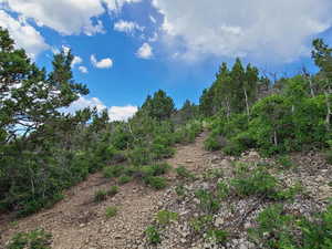 Photo 13 of 9 N PINE NUT WAY
