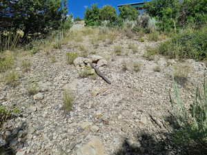 Photo 10 of 9 N PINE NUT WAY