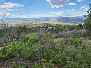 Photo 4 of 9 N PINE NUT WAY