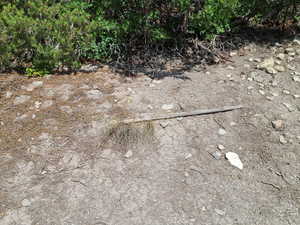 Photo 8 of 9 N PINE NUT WAY