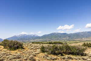 Photo 54 of 2005 N LOOKOUT PEAK CIR