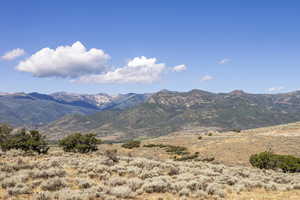 Photo 39 of 2005 N LOOKOUT PEAK CIR