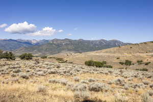 Photo 38 of 2005 N LOOKOUT PEAK CIR