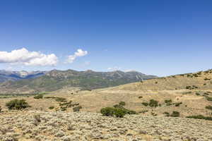 Photo 56 of 2005 N LOOKOUT PEAK CIR