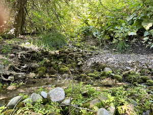 View of local wilderness featuring a water view