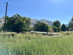 View of mountain view behind the irrigation pipes and fruit trees