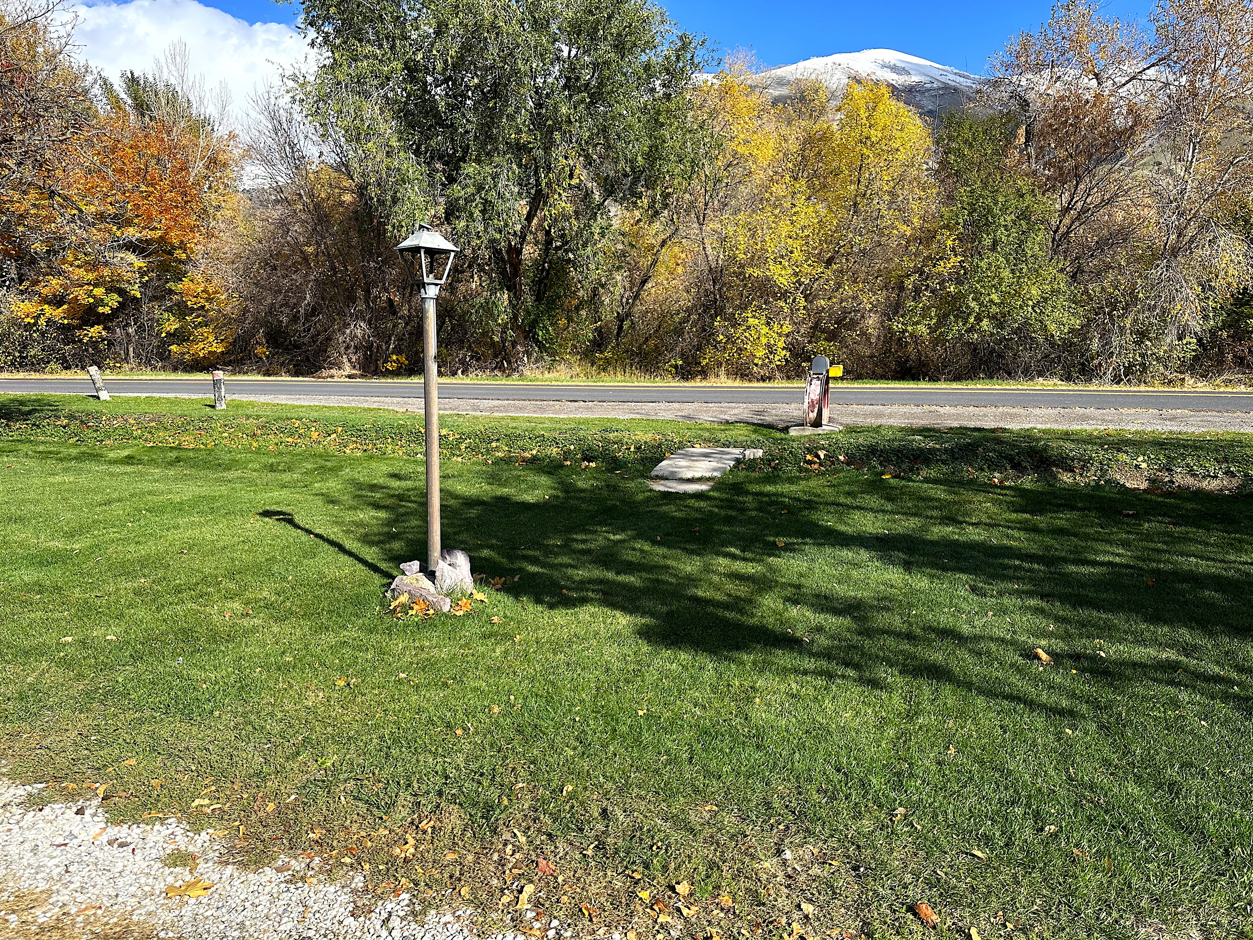 View front yard with lamppost along road