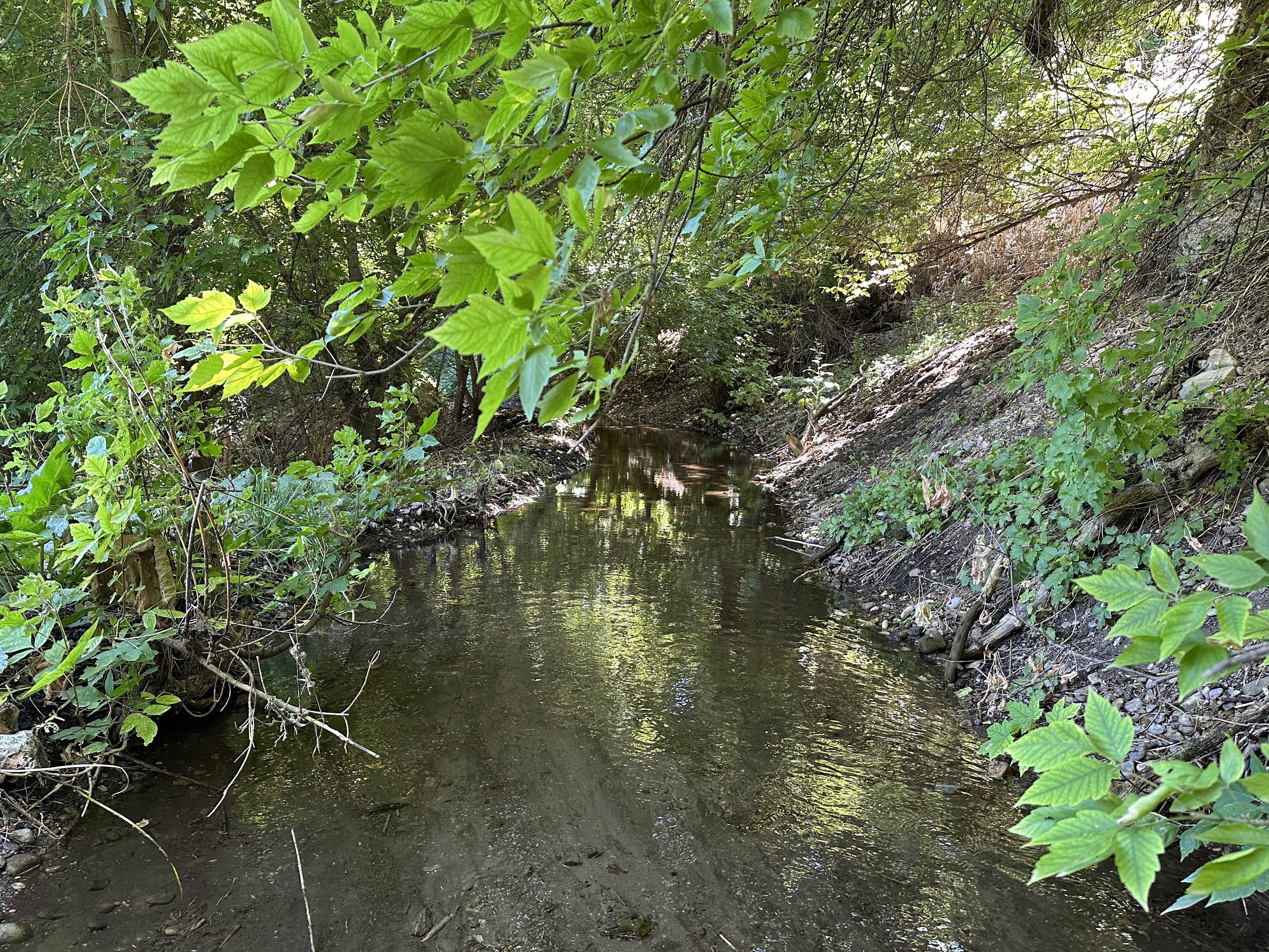 View of spring which flows year round