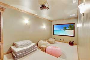 Home theatre room with projector in lower level