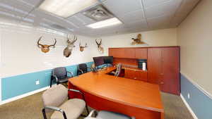 Carpeted office featuring a drop ceiling