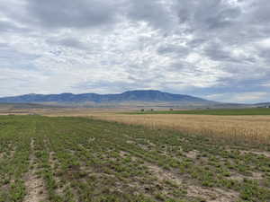 View of property view of mountains