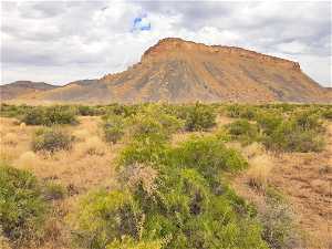 40 ac. at the base of the Book Cliffs in Thompson Springs.