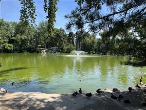 Community Duck Pond, Fountain, and Walking Path
