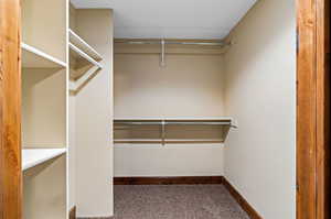 Spacious closet featuring dark carpet