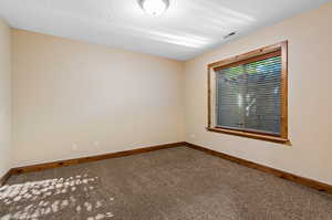 Empty room with carpet and a textured ceiling