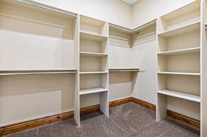 Spacious closet with carpet