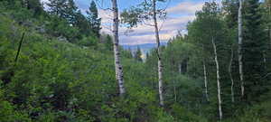 View of property view of mountains