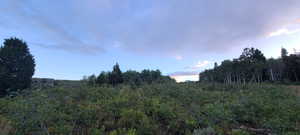 View of nature at dusk