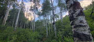 View of nature at dusk