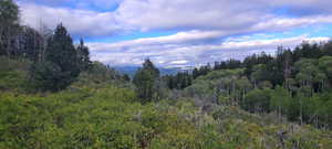 View of property view of mountains