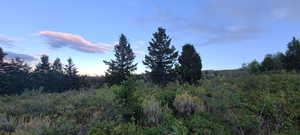 View of nature at dusk