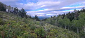 View of property view of mountains