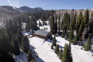 Snowy aerial view featuring a view of trees and a mountain view