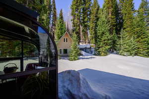 View of yard featuring a patio