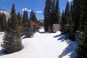 View of yard covered in snow