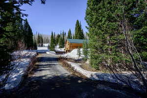 View of asphalt driveway with a view of trees