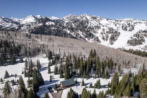 View of mountain backdrop with a heavily wooded area