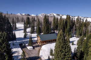 Mountain view with a forest