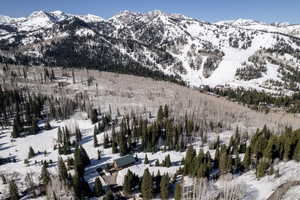 View of mountain background