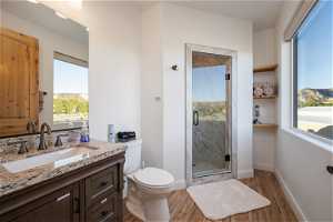 Bathroom featuring plenty of natural light, a shower with door, large vanity, and hardwood flooring