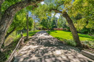 View of property's community with a lawn