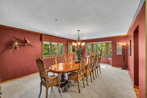 Dining room with plenty of natural light, a chandelier, light colored carpet, and ornamental molding