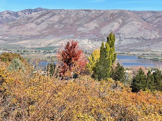 View of property view of mountains