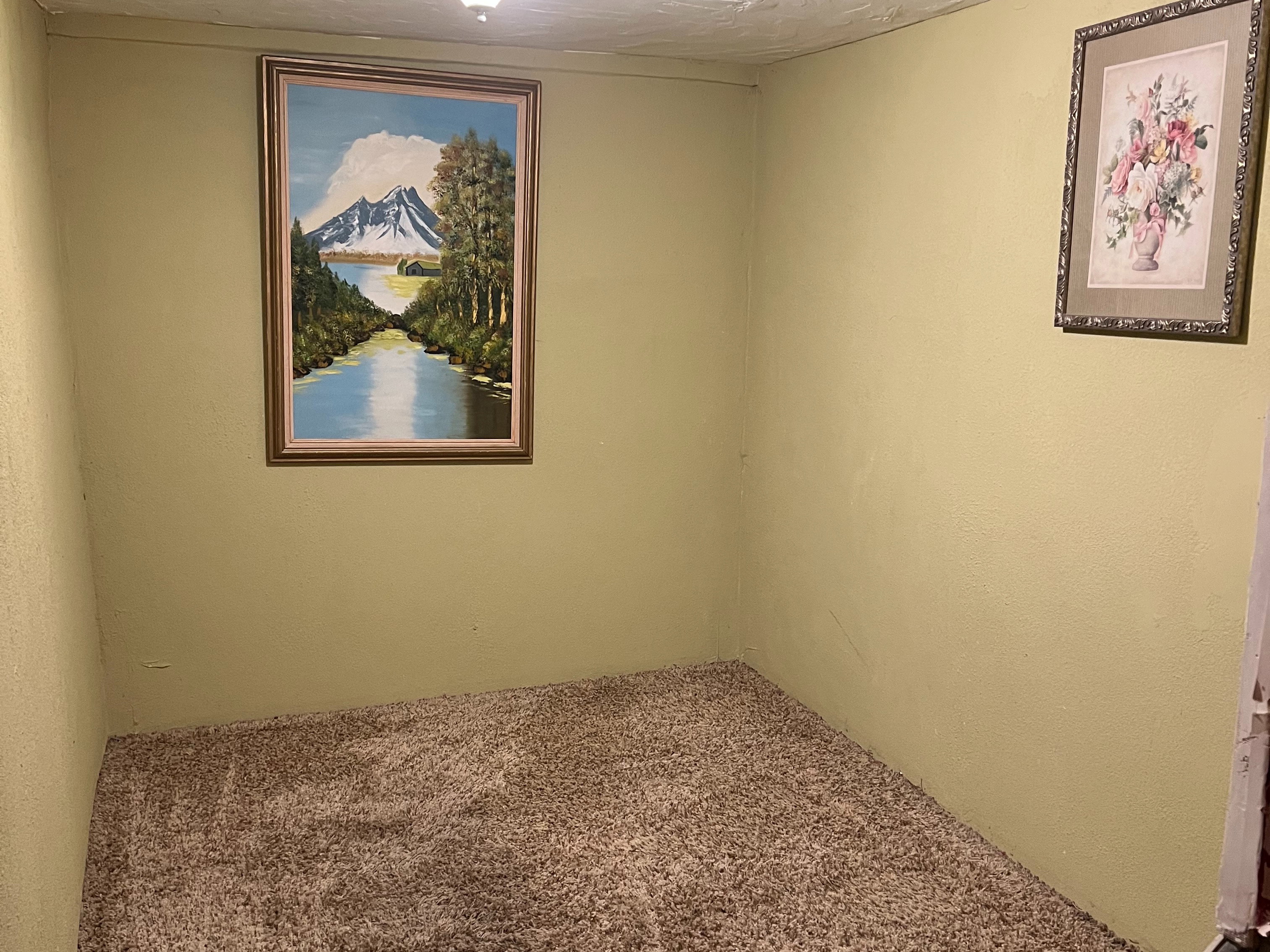 Empty room featuring carpet flooring
