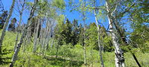 Looking southwest toward the upper cove where the first and second pic show flat