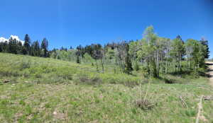 Northeast corner of lot into cove lot and looking West along Solitude Dr