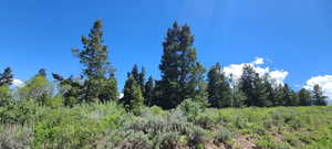 upper lot off snowbird looking southeast. cove other side of Pines.